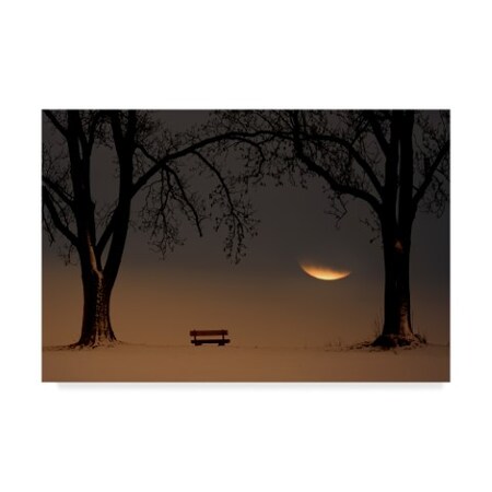 Trademark Fine Art